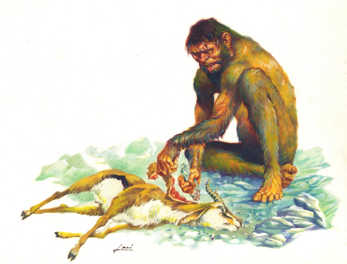 Illustration originale Homo Erectus retour de chasse
