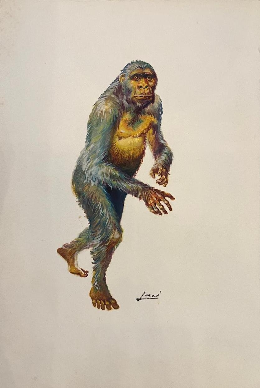 Illustration à l'acrylique Homo Erectus