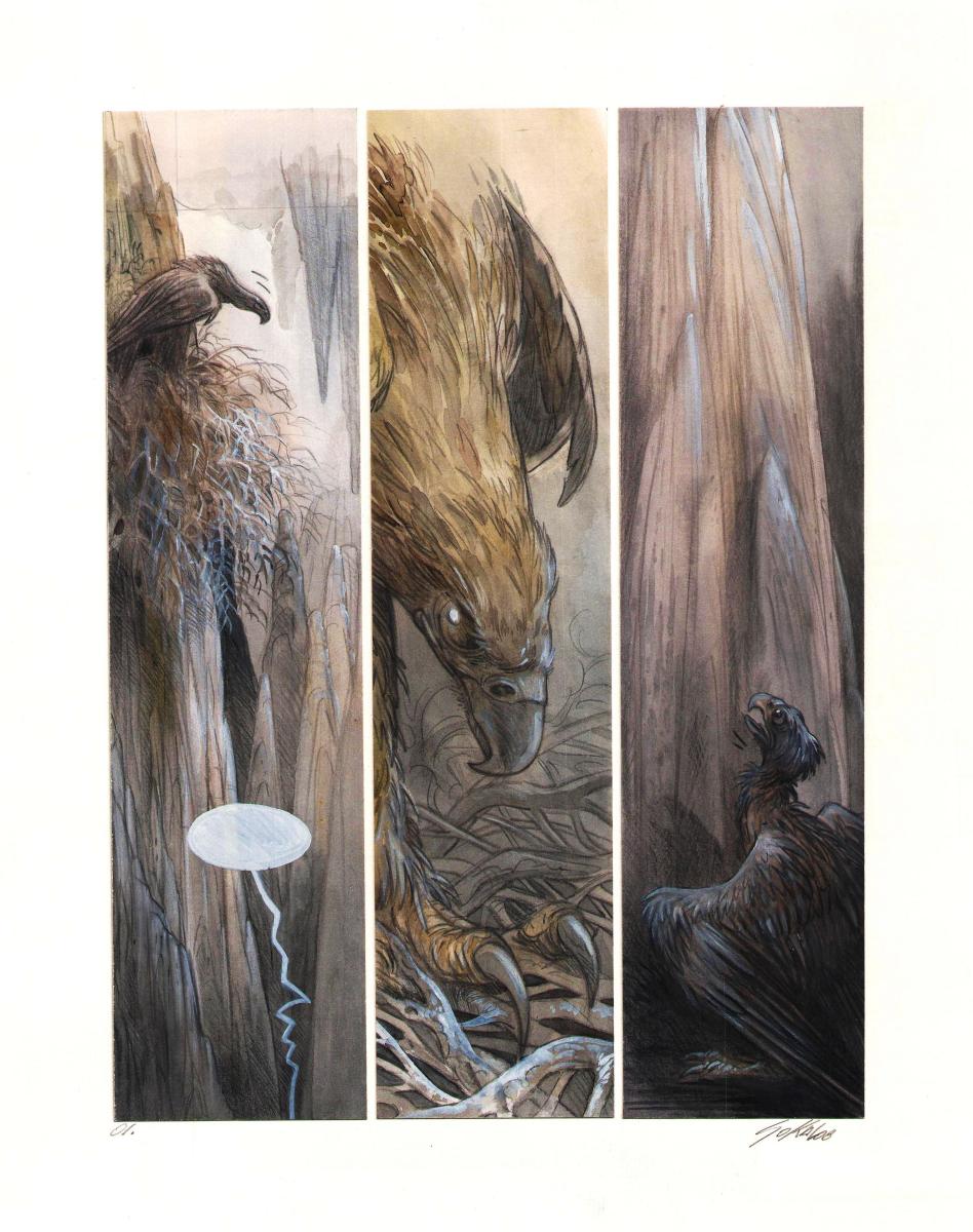 Assemblage de cases de la Bande Dessinée KRAA Tome 1  par Benoît SOKAL