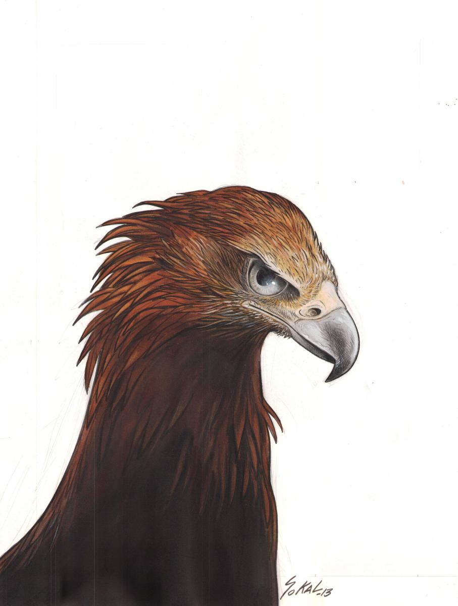 Couverture de KRAA Tome 3 La colère blanche de l'orage par Benoit SOKAL