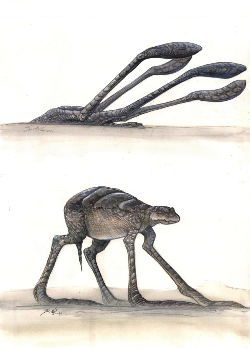 Illustrations de référence créature du marais