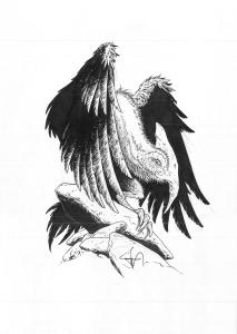 SHEID : Illustration 30 � l'encre de Chine pour le Codex de She�d