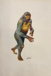 Divers : Illustration � l'acrylique Homo Erectus