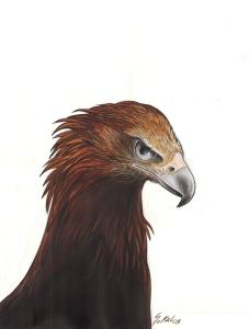 KRAA : Couverture de KRAA Tome 3 La col�re blanche de l'orage par Benoit SOKAL