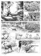 LE DERNIER BRAME : Planche originale 67 du one shot LE DERNIER BRAME par Jean-Claude SERVAIS