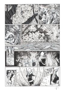 LES FOR�TS D'OPALE : Planche Originale 17 du tome 5 des For�ts d'Opale Onze racines